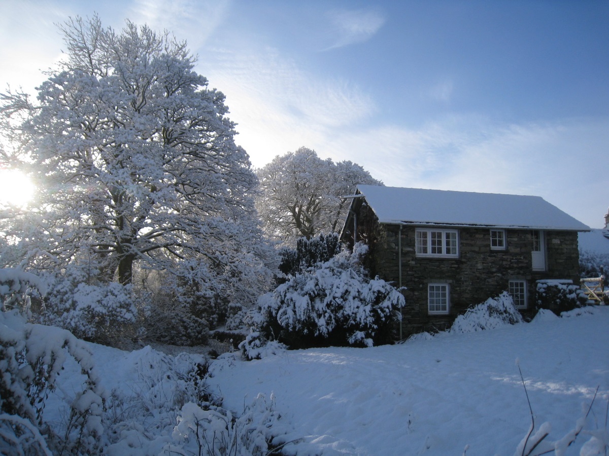 North view in winter