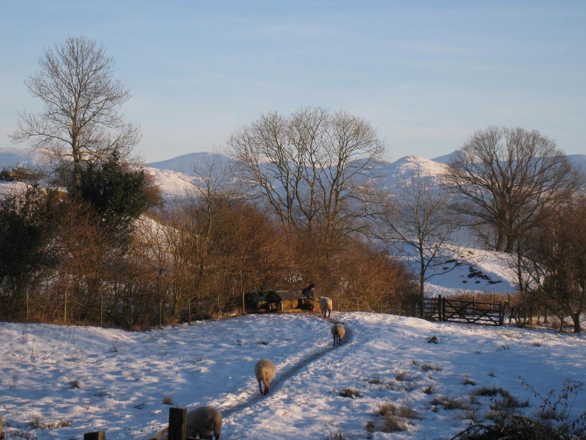 View to NE in winter