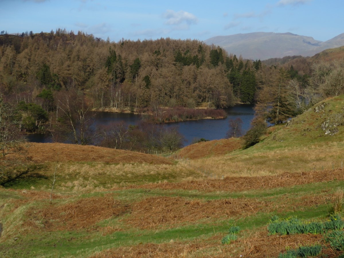 Tarn Hows