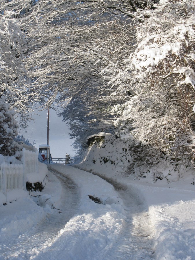 Local lanes in the winter