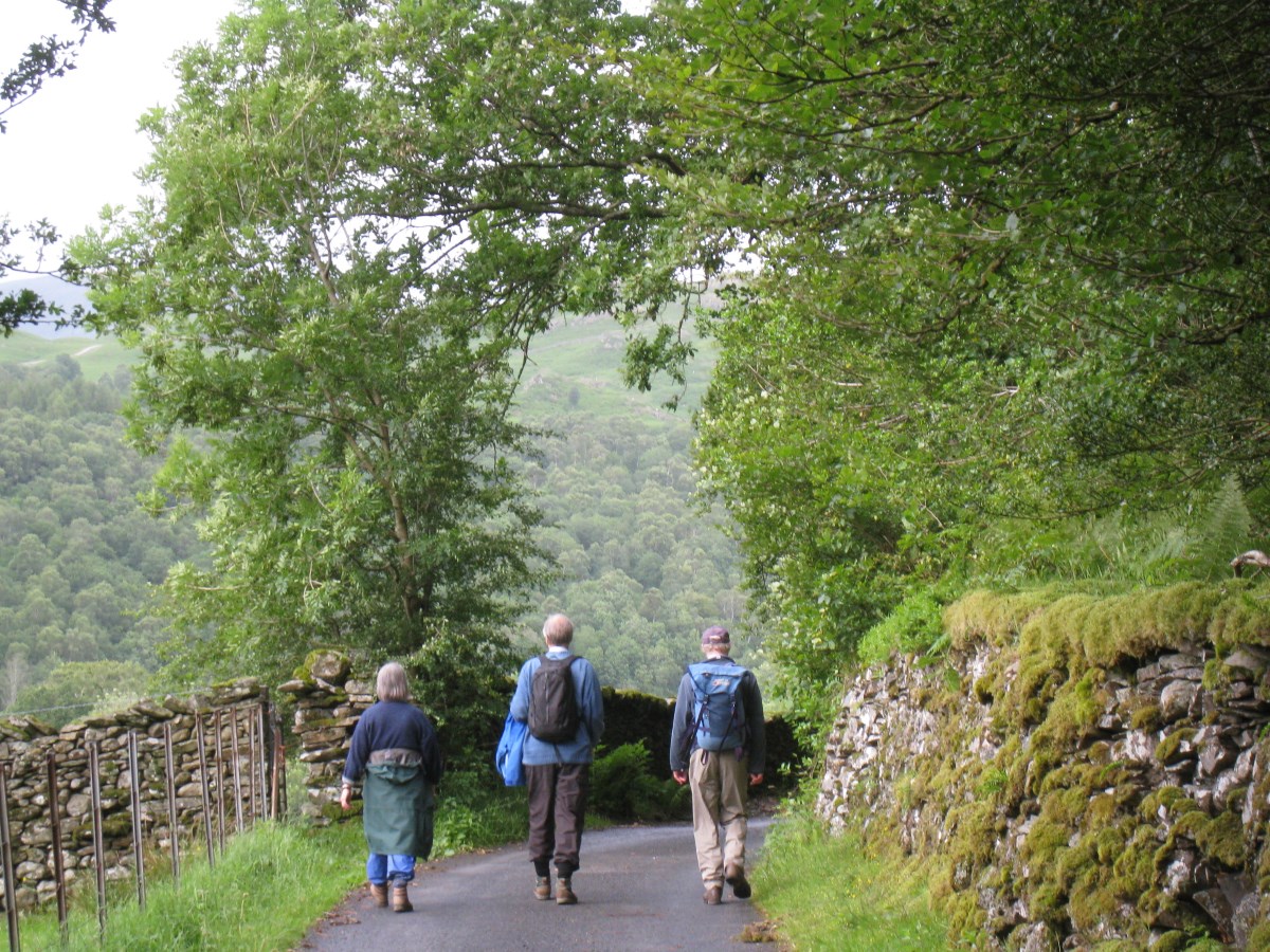 Walking Holidays