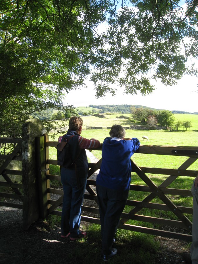 Footpath to Hawkshead