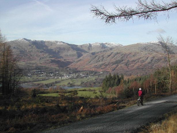 Tracking through Grizedale Forest